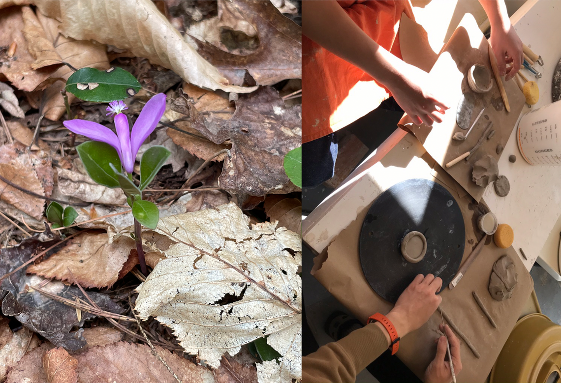 Violet and green flower among brown leaves split screen with image of several hands working with clay