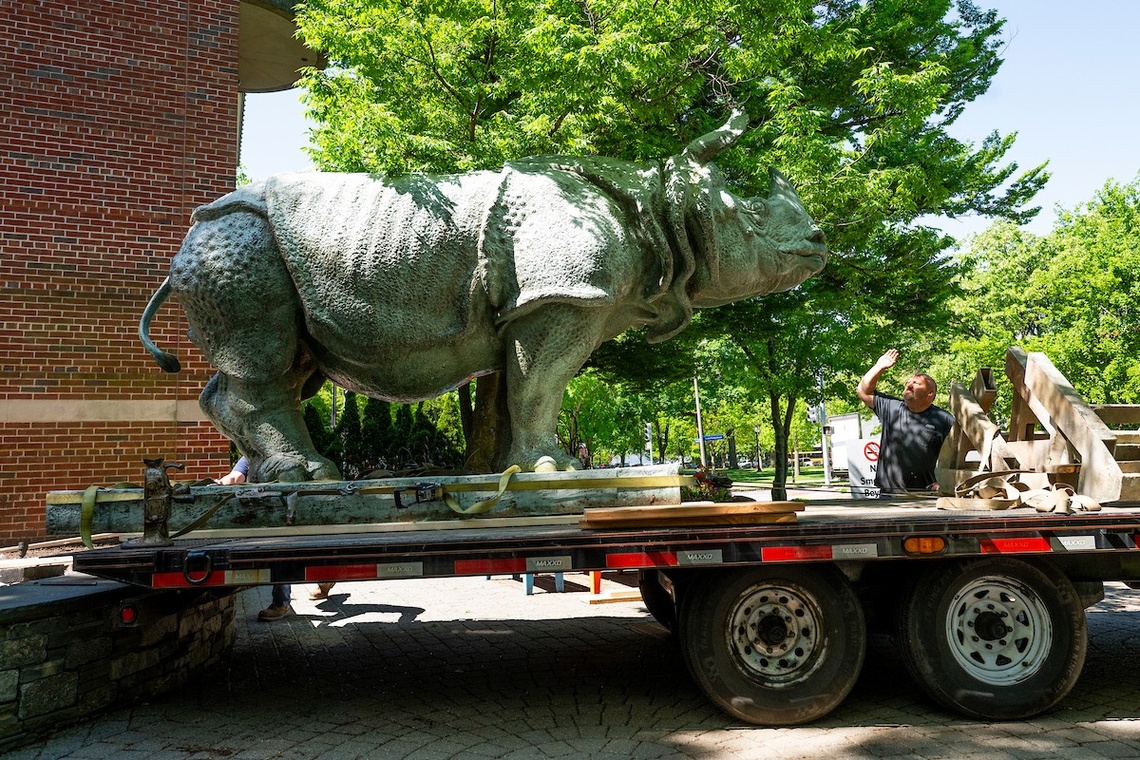 A large rhino statue stands on a flatbed truck, a man looks up at the statue while shielding his eyes from the sun