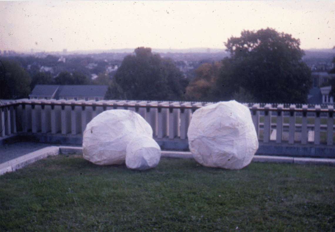 BoulderFlagFlipKickImagesEmail.gif